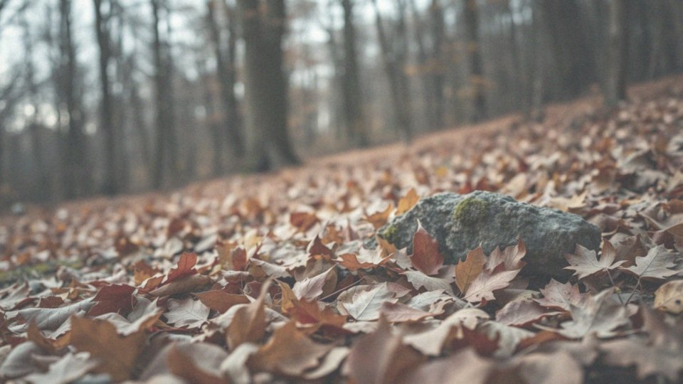Jakie znaczenie ma akceptacja negatywnych myśli?