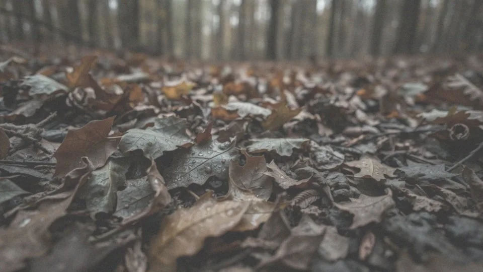Jakie są konsekwencje dla tkanki podczas gnilnego rozkładu?