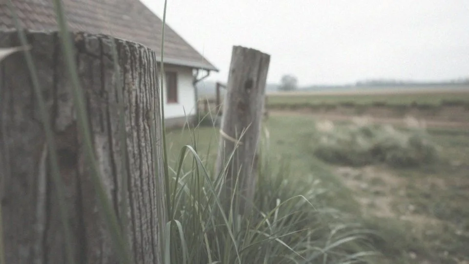 Czy można ubezpieczyć się w KRUS bez ziemi? Sprawdź szczegóły