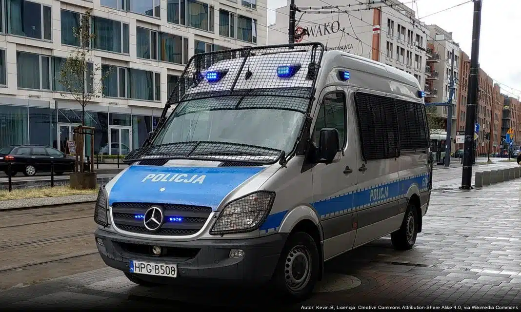 Uwaga na dziką zwierzynę – rosnące zagrożenie na drogach Hajnówki