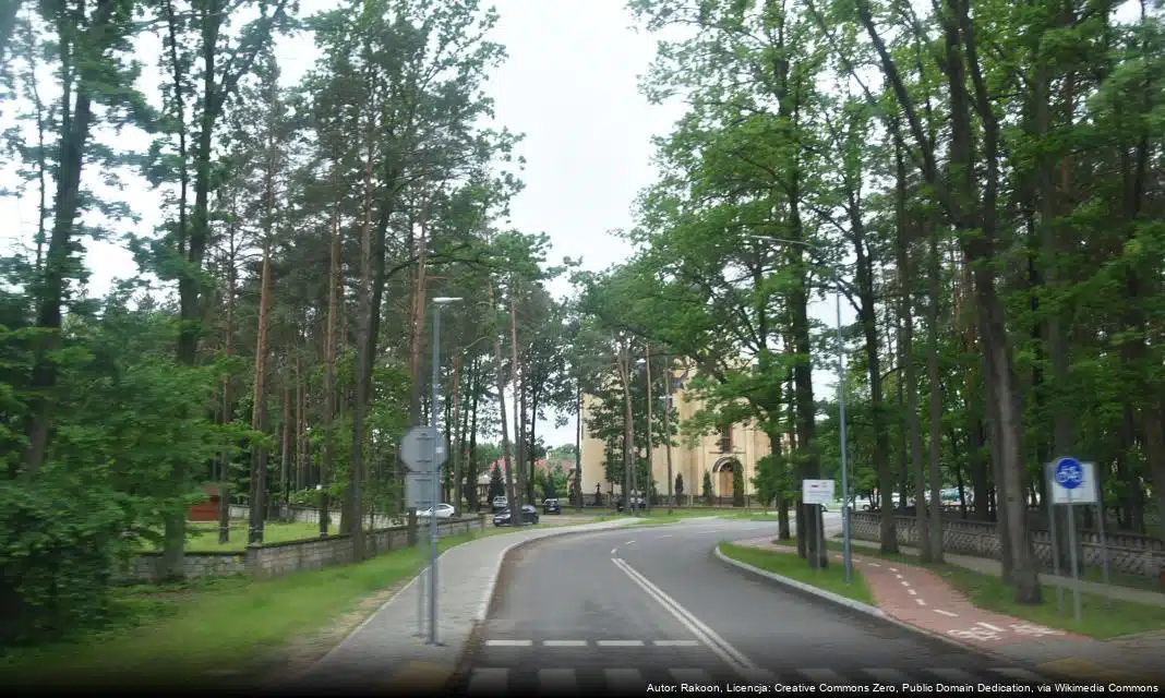 Przygotowania do 22. Półmaratonu Hajnowskiego – zapisy już od 10 marca 2025 roku